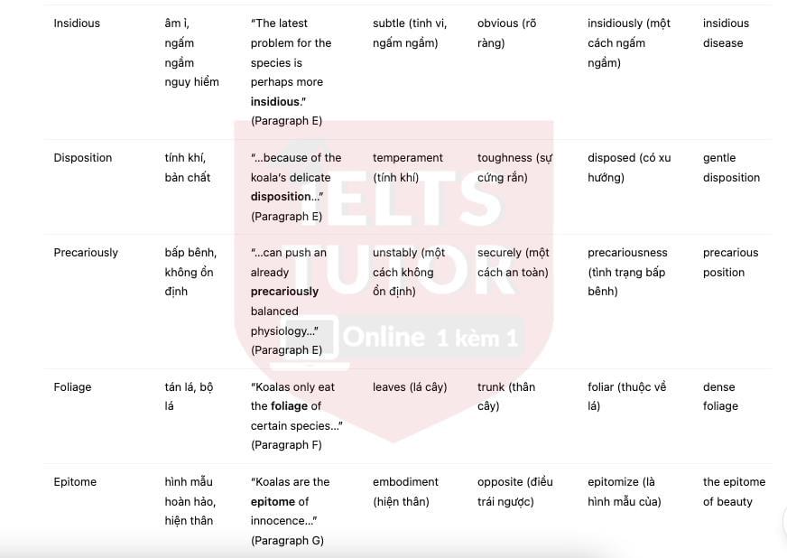 🔥Koalas - Đề thi thật IELTS READING - Làm bài online format computer-based, kèm đáp án, dịch & giải thích từ vựng - cấu trúc ngữ pháp khó 🔥Koalas - Đề thi thật IELTS READING - Làm bài online format computer-based, kèm đáp án, dịch & giải thích từ vựng - cấu trúc ngữ pháp khó