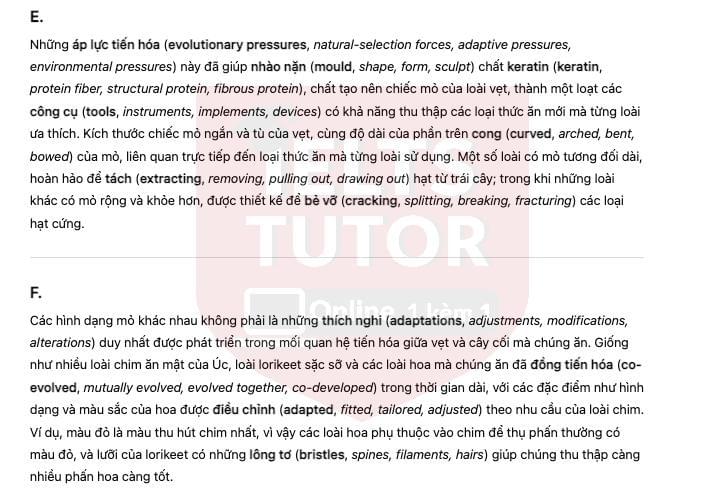 🔥Australian parrots and their adaptation to habitat change Answers with location - Đề thi thật IELTS READING- Làm bài online format computer-based, kèm đáp án, dịch & giải thích từ vựng - cấu trúc ngữ pháp khó 🔥Australian parrots and their adaptation to habitat change Answers with location - Đề thi thật IELTS READING- Làm bài online format computer-based, kèm đáp án, dịch & giải thích từ vựng - cấu trúc ngữ pháp khó