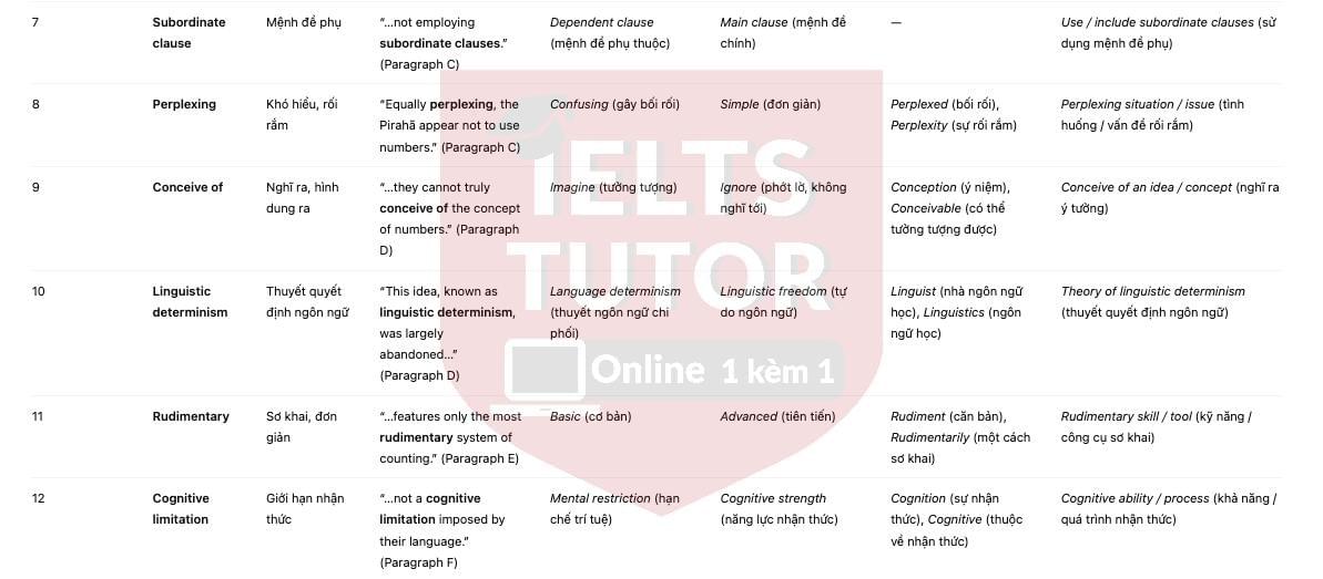 The Pirahã people of Brazil Answers with location - Đề luyện IELTS READING The Pirahã people of Brazil Answers with location - Đề luyện IELTS READING