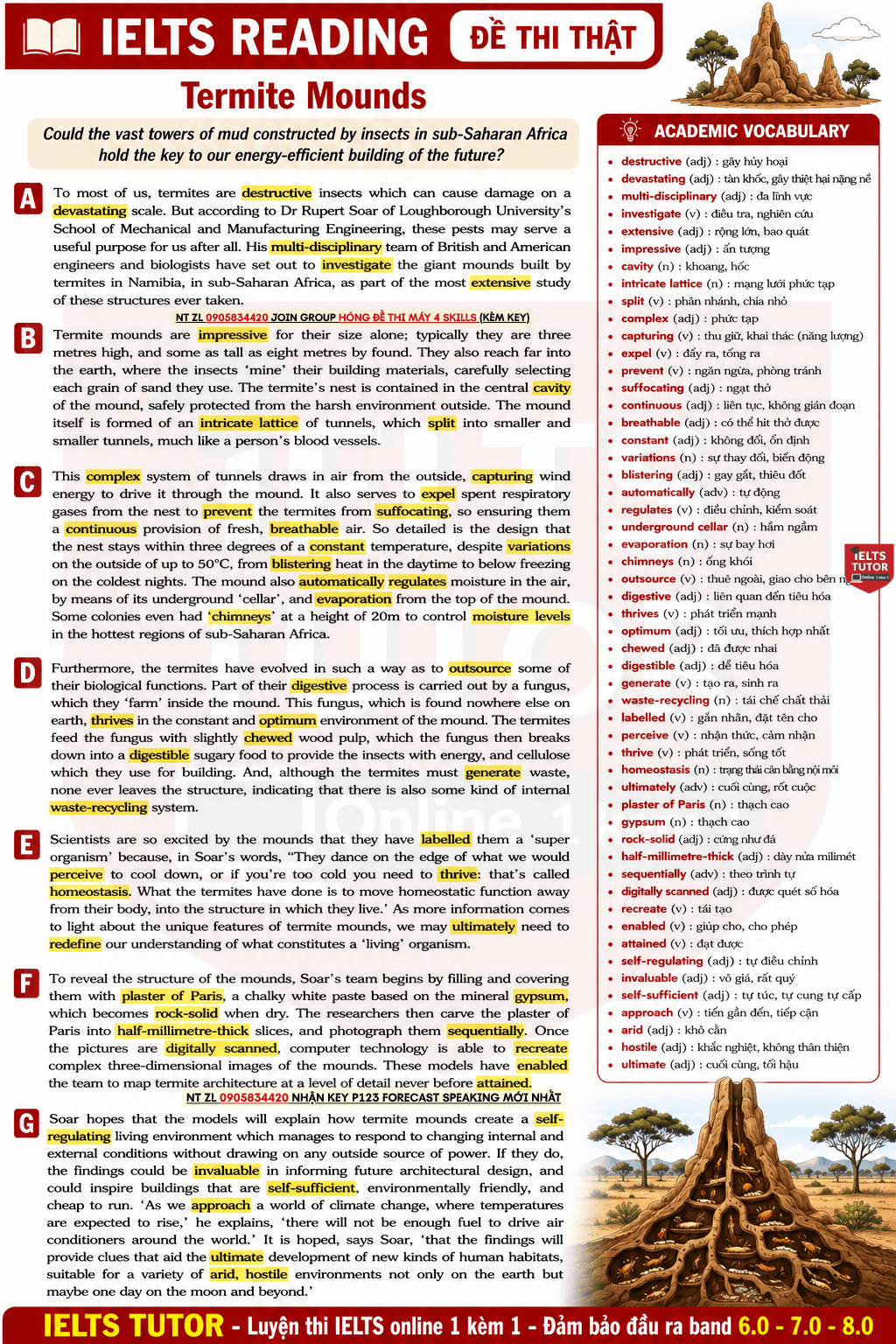 🔥Termite Mounds Answers with location - Đề thi thật IELTS READING- Làm bài online format computer-based, kèm đáp án, dịch & giải thích từ vựng - cấu trúc ngữ pháp khó (Thi máy 22/3/2025) 🔥Termite Mounds Answers with location - Đề thi thật IELTS READING- Làm bài online format computer-based, kèm đáp án, dịch & giải thích từ vựng - cấu trúc ngữ pháp khó (Thi máy 22/3/2025)