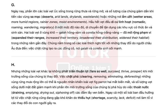 🔥Australian parrots and their adaptation to habitat change Answers with location - Đề thi thật IELTS READING- Làm bài online format computer-based, kèm đáp án, dịch & giải thích từ vựng - cấu trúc ngữ pháp khó 🔥Australian parrots and their adaptation to habitat change Answers with location - Đề thi thật IELTS READING- Làm bài online format computer-based, kèm đáp án, dịch & giải thích từ vựng - cấu trúc ngữ pháp khó