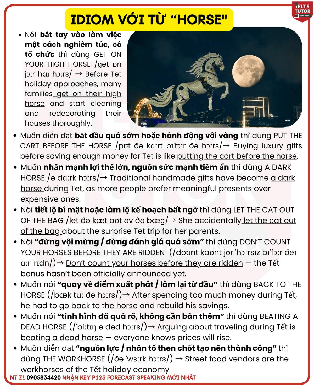IDIOM VỚI TỪ “HORSE" IDIOM VỚI TỪ “HORSE"