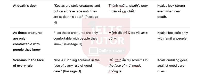 🔥Koalas - Đề thi thật IELTS READING - Làm bài online format computer-based, kèm đáp án, dịch & giải thích từ vựng - cấu trúc ngữ pháp khó 🔥Koalas - Đề thi thật IELTS READING - Làm bài online format computer-based, kèm đáp án, dịch & giải thích từ vựng - cấu trúc ngữ pháp khó