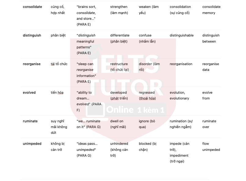 🔥The Science of “Sleeping on It” Answers with location - Đề thi thật IELTS READING- Làm bài online format computer-based, kèm đáp án, dịch & giải thích từ vựng - cấu trúc ngữ pháp khó 🔥The Science of “Sleeping on It” Answers with location - Đề thi thật IELTS READING- Làm bài online format computer-based, kèm đáp án, dịch & giải thích từ vựng - cấu trúc ngữ pháp khó