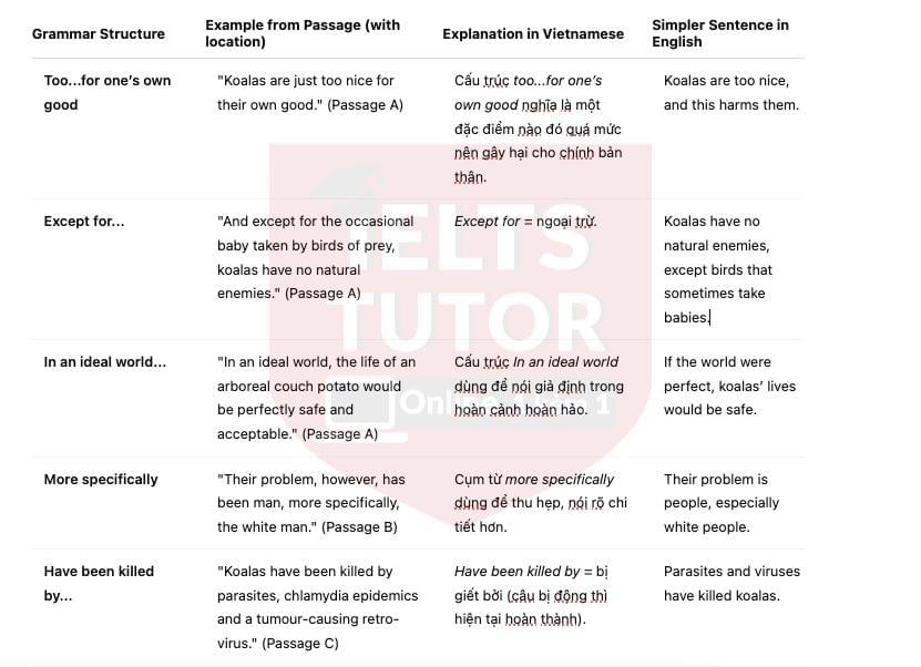 🔥Koalas - Đề thi thật IELTS READING - Làm bài online format computer-based, kèm đáp án, dịch & giải thích từ vựng - cấu trúc ngữ pháp khó 🔥Koalas - Đề thi thật IELTS READING - Làm bài online format computer-based, kèm đáp án, dịch & giải thích từ vựng - cấu trúc ngữ pháp khó