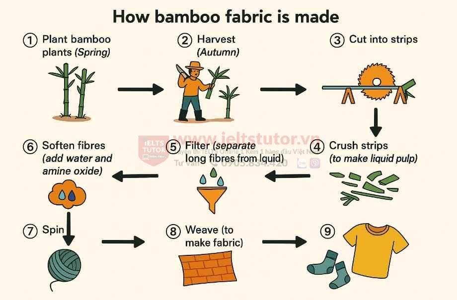 The diagram below shows how fabric is manufactured from bamboo The diagram below shows how fabric is manufactured from bamboo