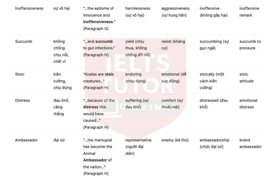 🔥Koalas - Đề thi thật IELTS READING - Làm bài online format computer-based, kèm đáp án, dịch & giải thích từ vựng - cấu trúc ngữ pháp khó 🔥Koalas - Đề thi thật IELTS READING - Làm bài online format computer-based, kèm đáp án, dịch & giải thích từ vựng - cấu trúc ngữ pháp khó