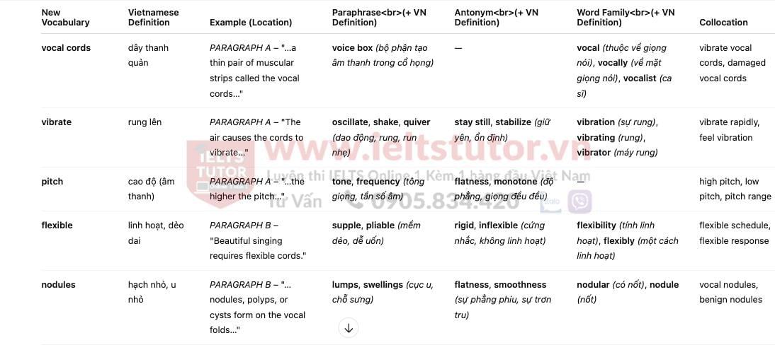 🔥The First Aircraft - Đề thi thật IELTS READING - Làm bài online format computer-based, kèm đáp án, dịch & giải thích từ vựng - cấu trúc ngữ pháp khó 🔥The First Aircraft - Đề thi thật IELTS READING - Làm bài online format computer-based, kèm đáp án, dịch & giải thích từ vựng - cấu trúc ngữ pháp khó