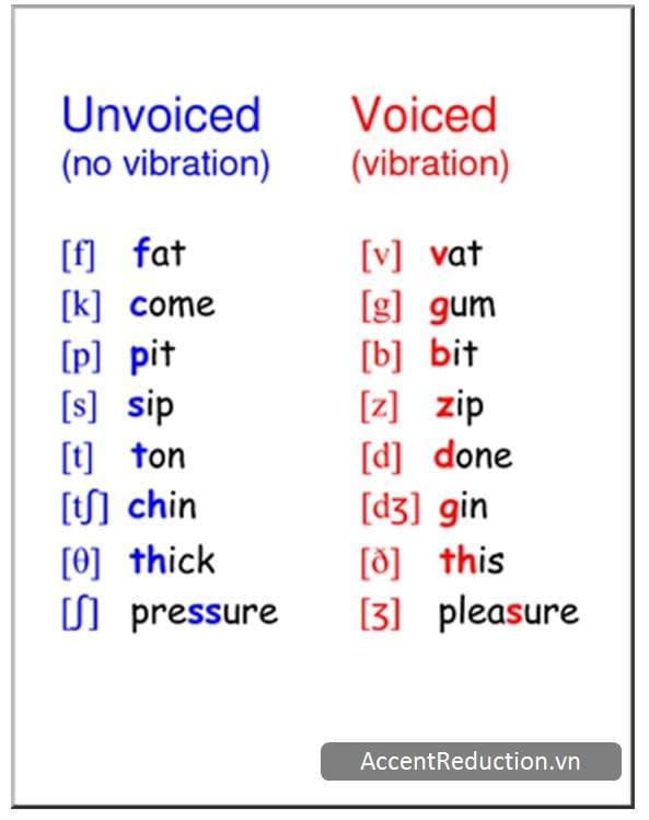 ÂM VÔ THANH & ÂM HỮU THANH TRONG TIẾNG ANH ÂM VÔ THANH & ÂM HỮU THANH TRONG TIẾNG ANH