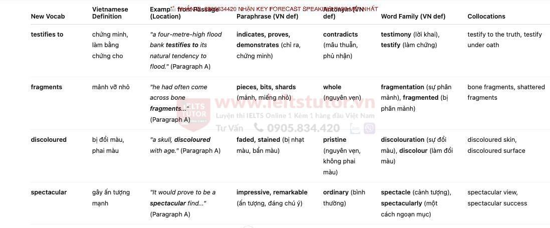 Ahead of its Time - Đề thi thật IELTS READING - Làm bài online format computer-based, kèm đáp án, dịch & giải thích từ vựng Ahead of its Time - Đề thi thật IELTS READING - Làm bài online format computer-based, kèm đáp án, dịch & giải thích từ vựng