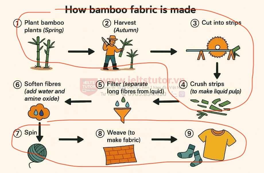 https://www.suabaiieltswriting.com/blog/phan-tich-the-diagram-below-shows-how-fabric-is-manufactured-from-bamboo https://www.suabaiieltswriting.com/blog/phan-tich-the-diagram-below-shows-how-fabric-is-manufactured-from-bamboo