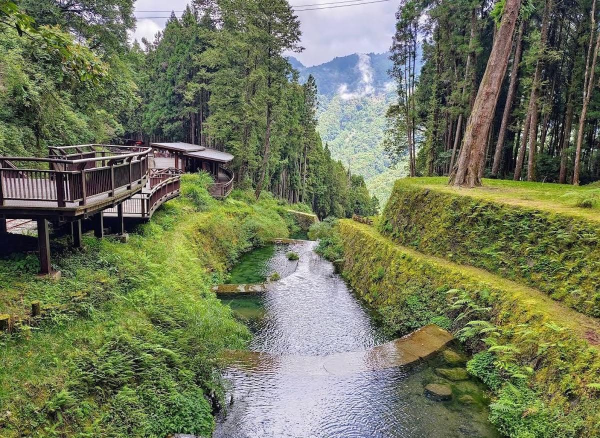 漫遊嘉義阿里山 Alishan