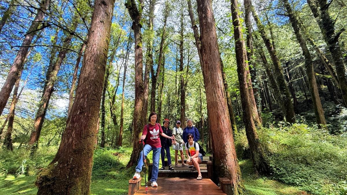漫遊嘉義阿里山 Alishan