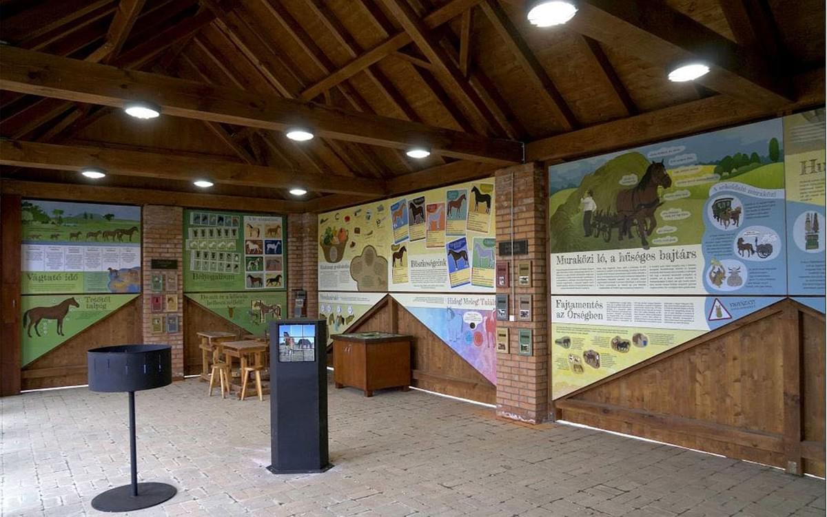 Section image