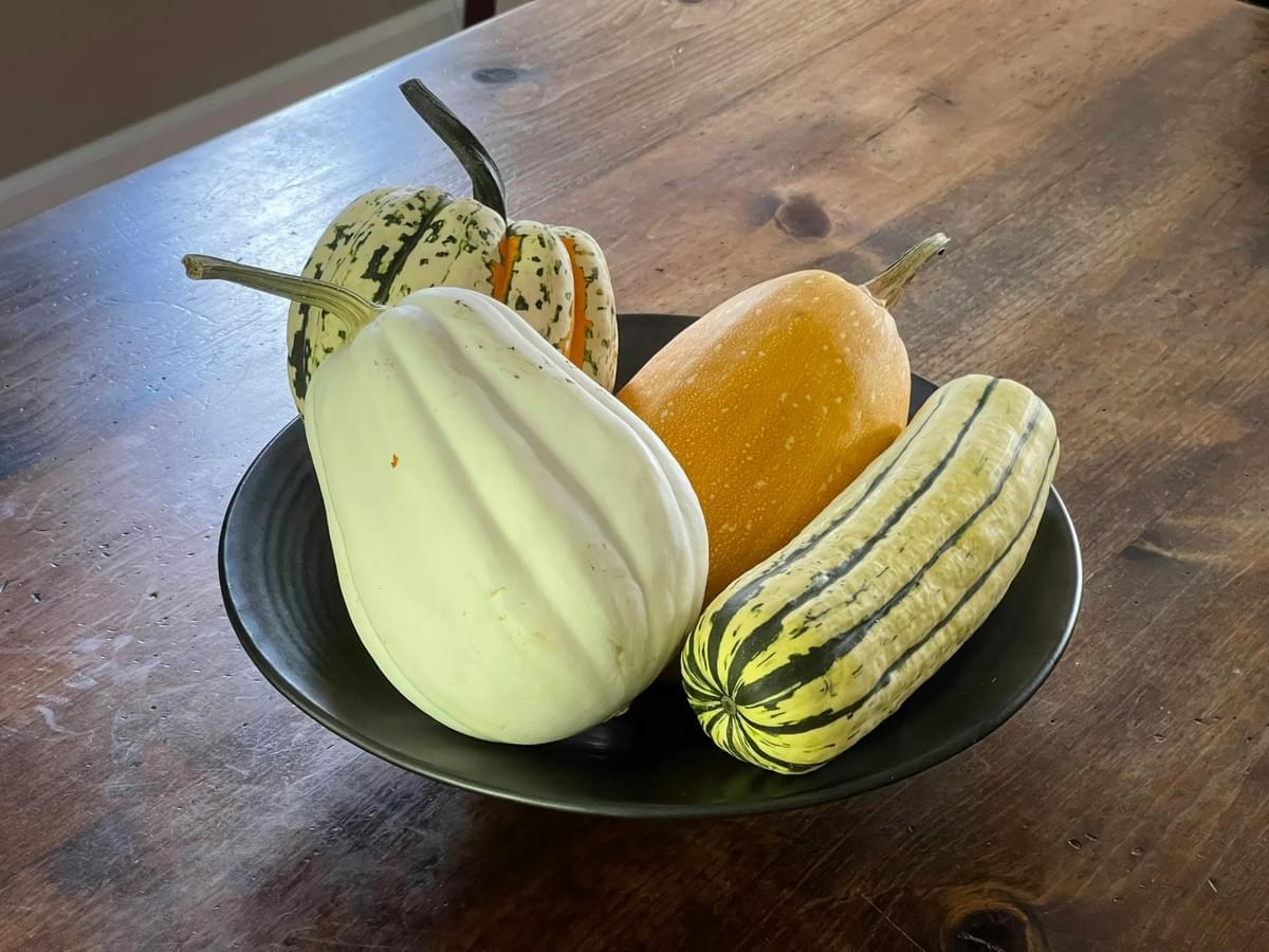 Courges d'automne Courges d'automne