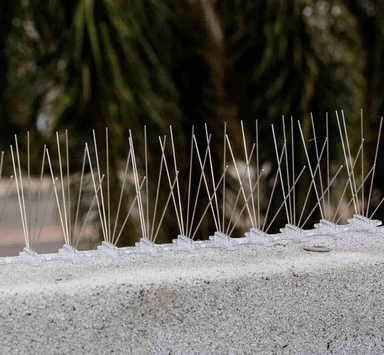 We are committed to providing excellent services through a highly trained and specialized team. Our goal is to achieve customer satisfaction by providing permanent and effective solutions to repel pigeons, keeping public and private spaces clean. We are here to provide effective pigeon repellent solutions in Dammam and Eastern Province. Pigeon repellent installation company in Dammam and Eastern Province We are committed to providing excellent services through a highly trained and specialized team. Our goal is to achieve customer satisfaction by providing permanent and effective solutions to repel pigeons, keeping public and private spaces clean. We are here to provide effective pigeon repellent solutions in Dammam and Eastern Province. Pigeon repellent installation company in Dammam and Eastern Province