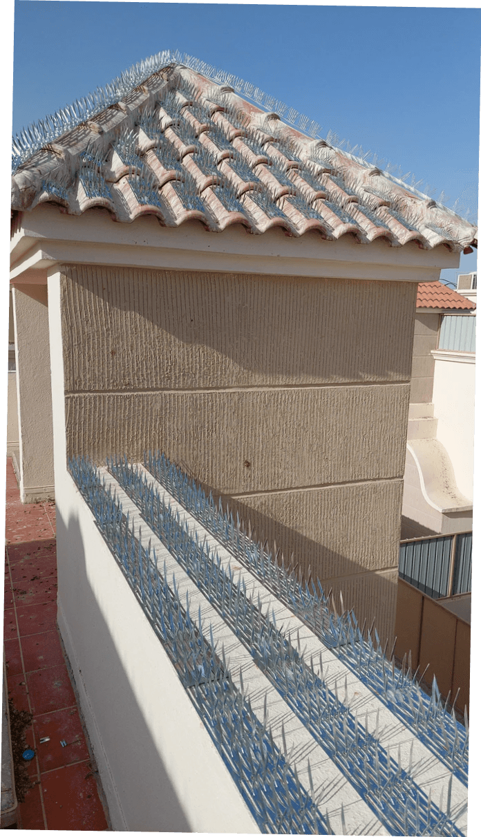 Our team consists of trained experts to ensure efficient and quick installation of your pigeon repellent, while providing excellent customer service to ensure your complete satisfaction. Professional team What we do Pigeon repellent installation company in Dammam and Eastern Province Our team consists of trained experts to ensure efficient and quick installation of your pigeon repellent, while providing excellent customer service to ensure your complete satisfaction. Professional team What we do Pigeon repellent installation company in Dammam and Eastern Province