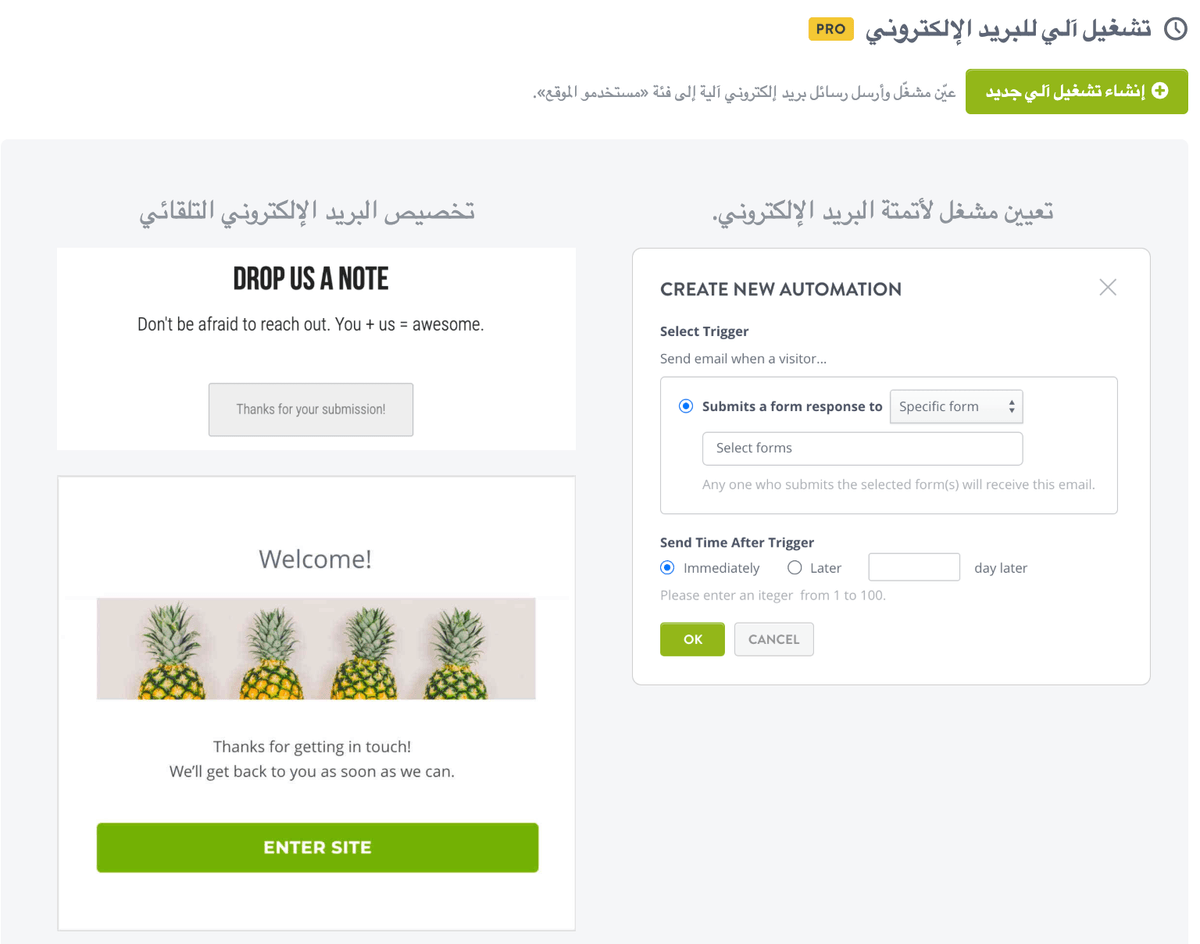 ميزة مراجعات منتجات Strikingly ميزة مراجعات منتجات Strikingly