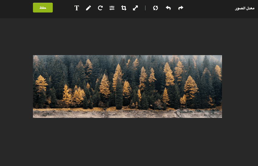محرر الصور Strikingly محرر الصور Strikingly