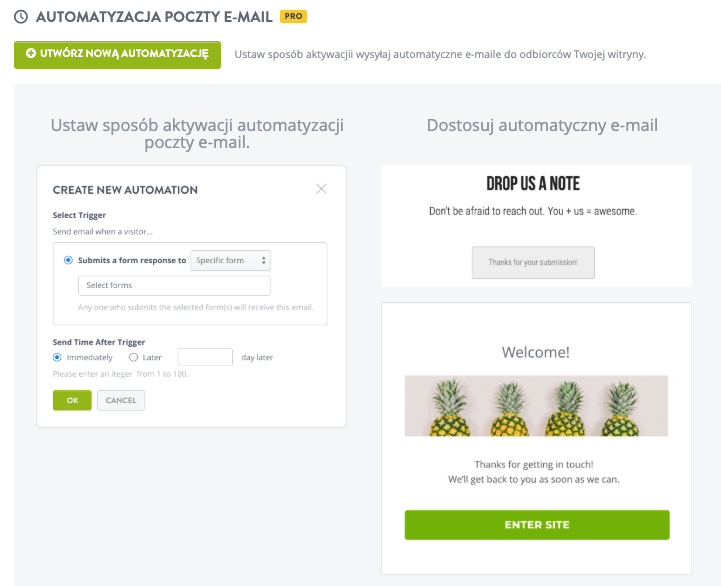 Strikingly Automatyzacja Poczty E-mail Funkcja Strikingly Automatyzacja Poczty E-mail Funkcja