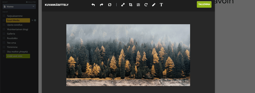 Kuinka lisätä vektorigrafiikkaa silmiinpistävälle verkkosivustolle - räätälöinti Kuinka lisätä vektorigrafiikkaa silmiinpistävälle verkkosivustolle - räätälöinti