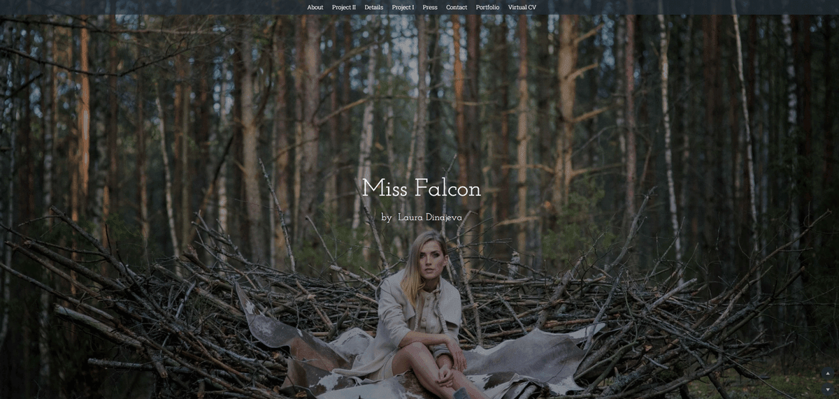 الصورة مأخوذة من Miss Falcon الصورة مأخوذة من Miss Falcon