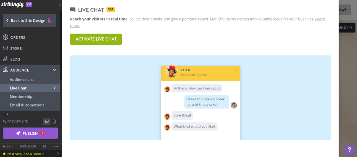 أضف لمسة جمالية إلى صور زفافك مع Strikingly - دردشة مباشرة أضف لمسة جمالية إلى صور زفافك مع Strikingly - دردشة مباشرة