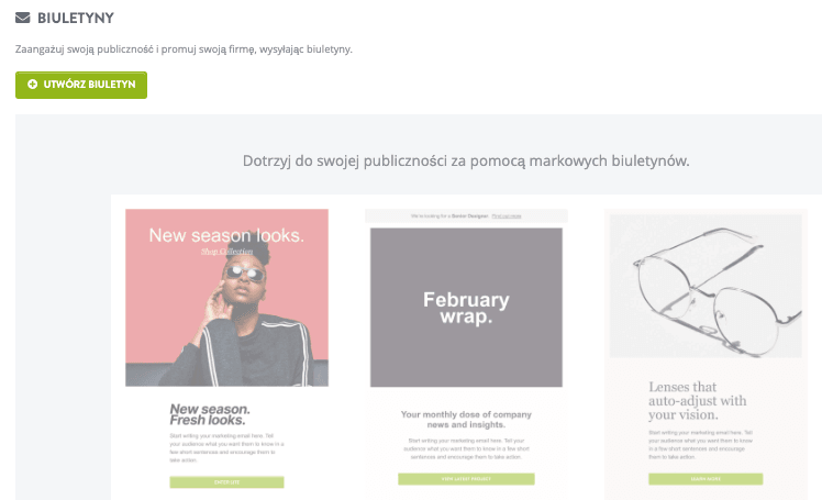 Funkcja newslettera Strikingly Funkcja newslettera Strikingly