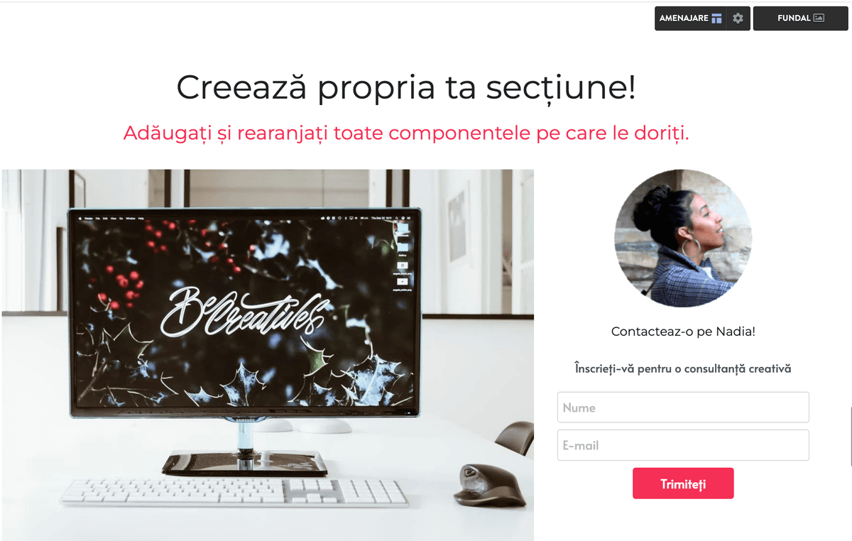Strikingly creează propria secțiune Strikingly creează propria secțiune