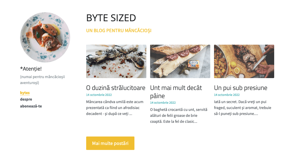 Șablon de marketing pentru blog de dimensiuni mici Șablon de marketing pentru blog de dimensiuni mici