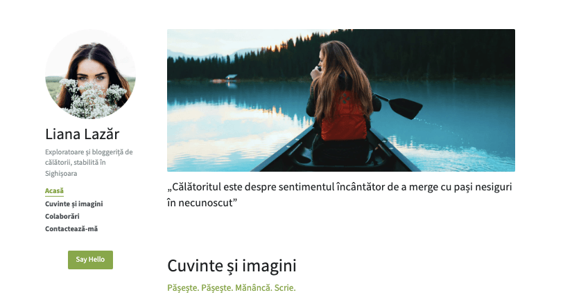 Șablon de site web curat Șablon de site web curat