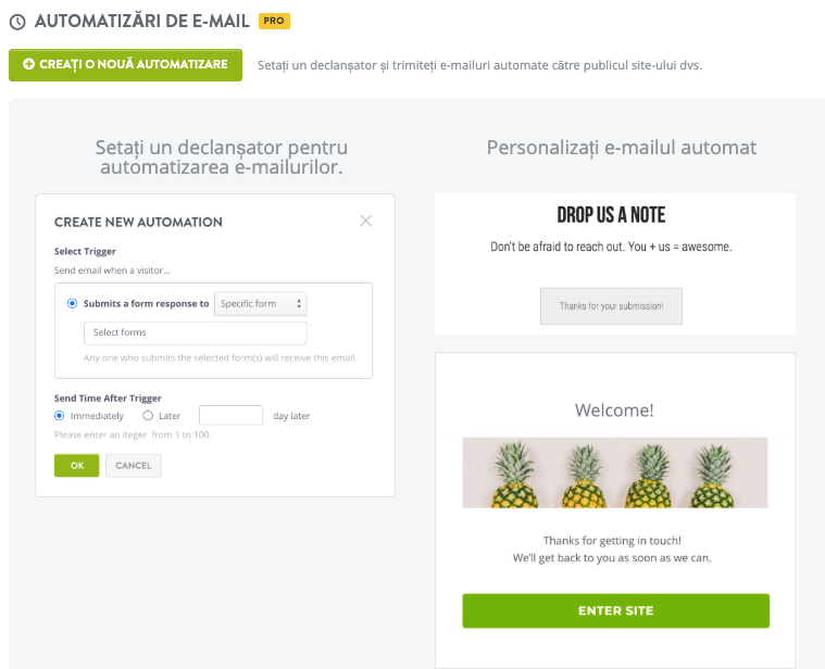 Funcția de recenzii ale produselor de la Strikingly Funcția de recenzii ale produselor de la Strikingly