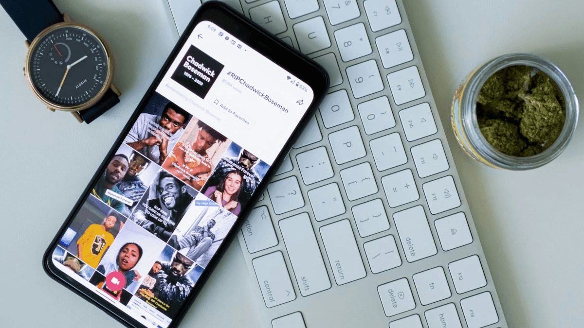 Haasteista nikseihin: TikTok-trendien alati muuttuvan maailman navigointi Haasteista nikseihin: TikTok-trendien alati muuttuvan maailman navigointi