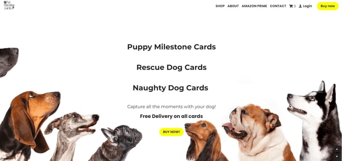 15 Thuisbedrijfideeën Om Uw Ondernemersreis Te Kickstarten In 2023 15 Thuisbedrijfideeën Om Uw Ondernemersreis Te Kickstarten In 2023