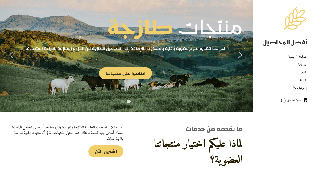 أحدث قالب تجارة إلكترونية من Strikingly أحدث قالب تجارة إلكترونية من Strikingly