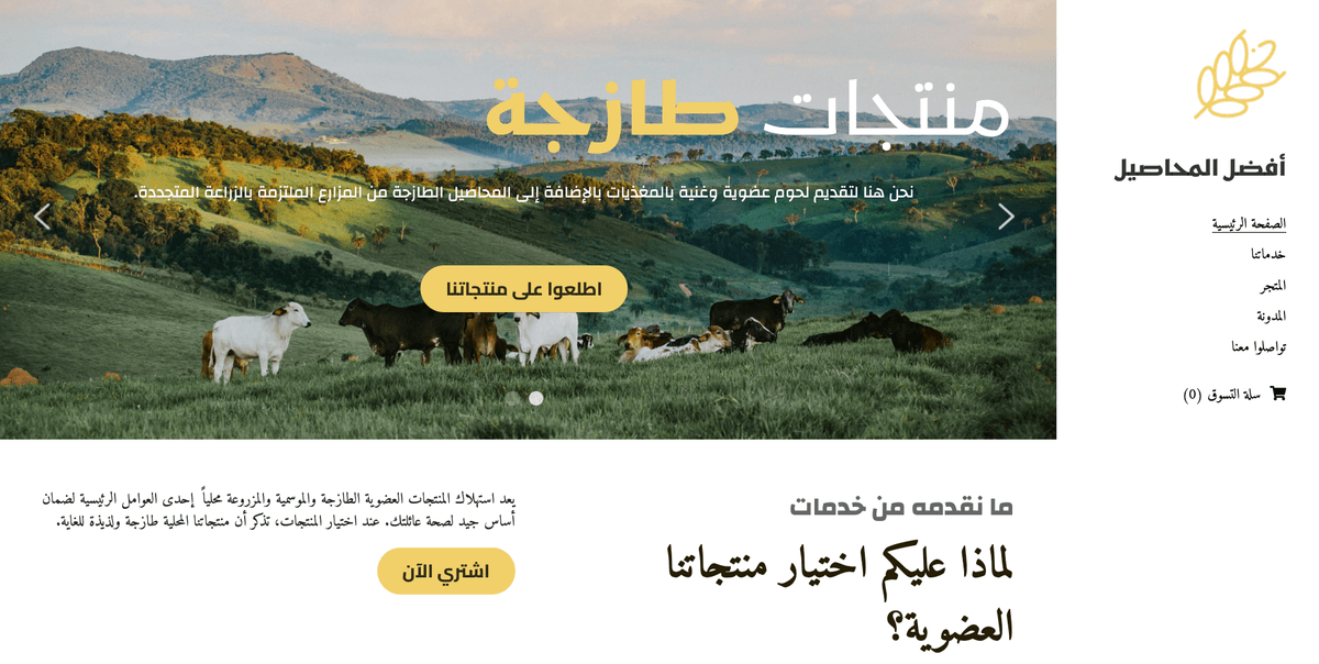 قالب جديد من Strikingly قالب جديد من Strikingly