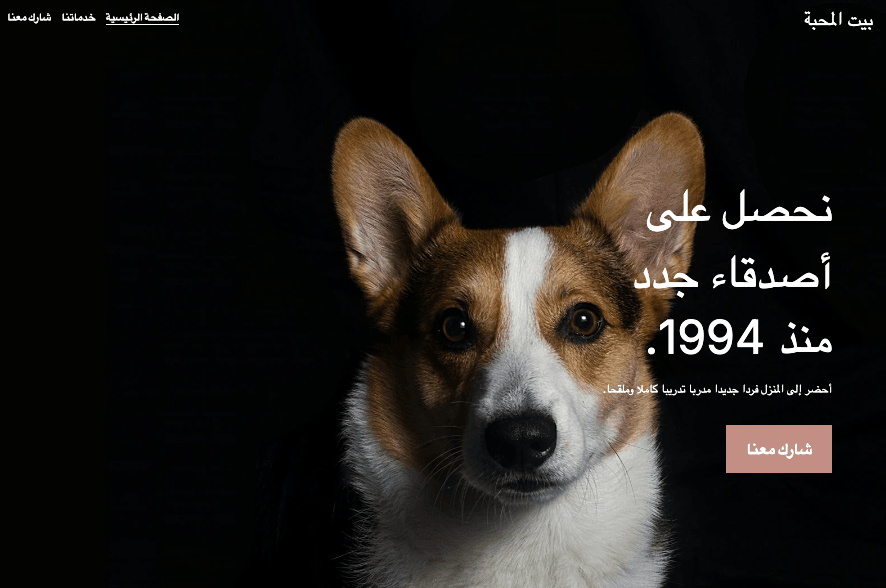 إنشاء علامة تجارية فريدة لأعمال الحيوانات الأليفة الخاصة بك إنشاء علامة تجارية فريدة لأعمال الحيوانات الأليفة الخاصة بك