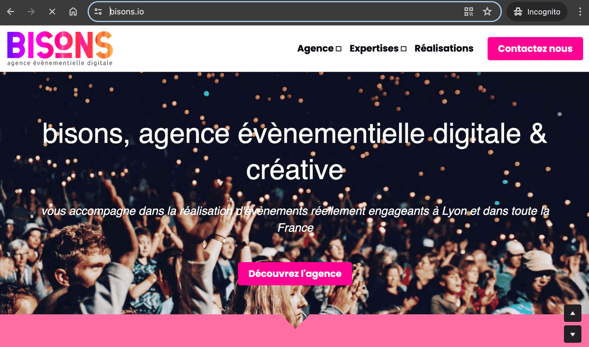 Dominio Bisons y alojamiento web con Strikingly Dominio Bisons y alojamiento web con Strikingly