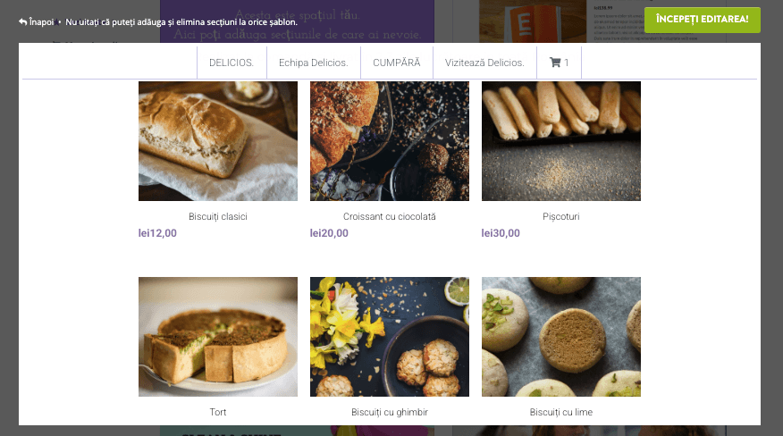Strikingly- un instrument indispensabil pentru un antreprenor digital - Capacități e-commerce Strikingly- un instrument indispensabil pentru un antreprenor digital - Capacități e-commerce