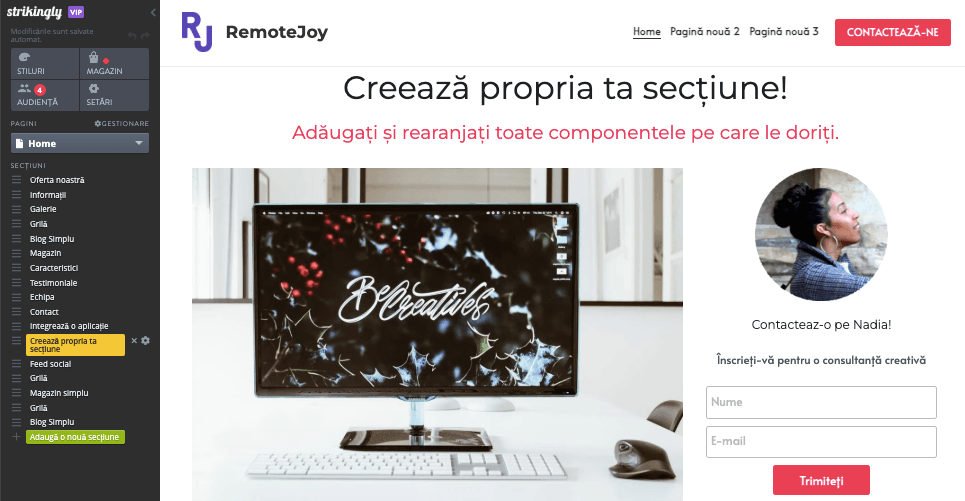 Construirea magazinului online Construirea magazinului online