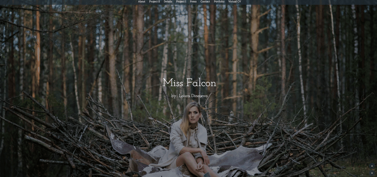 Kuva otettu alkaen Miss Falcon Kuva otettu alkaen Miss Falcon
