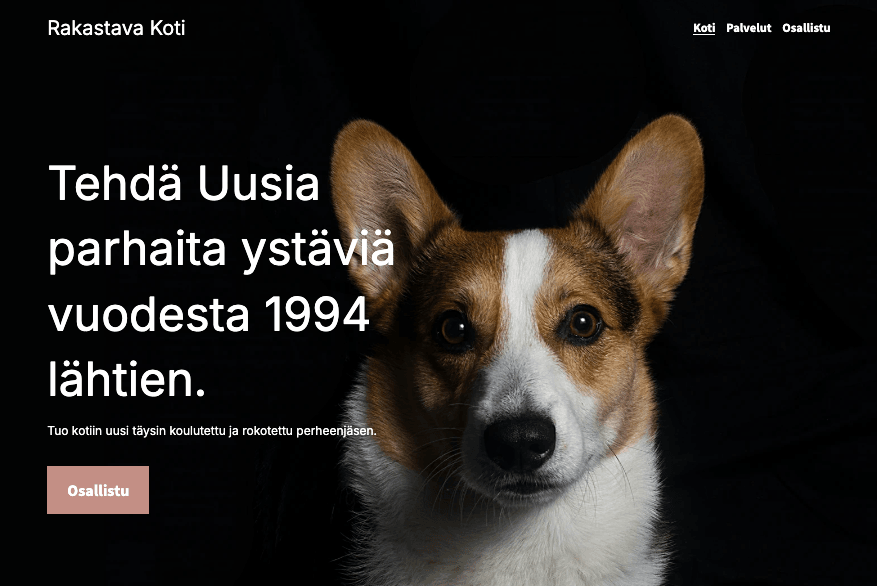 Luodaan ainutlaatuinen brändi lemmikkieläinbisneksellesi Luodaan ainutlaatuinen brändi lemmikkieläinbisneksellesi