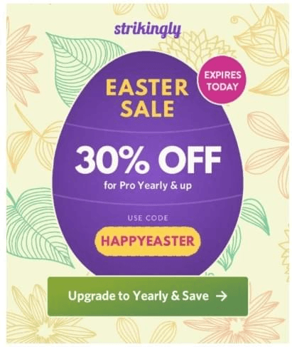 Strikingly Sale Email Strikingly Sale Email