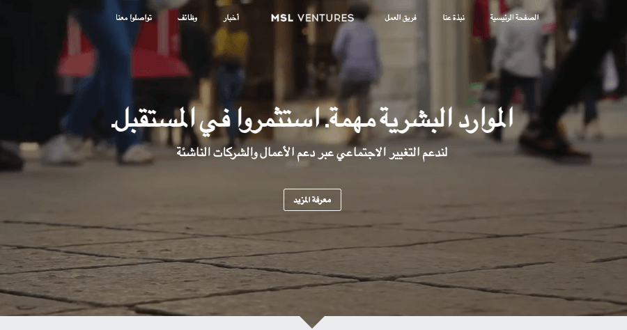 قالب MSL Ventures من Strikingly قالب MSL Ventures من Strikingly