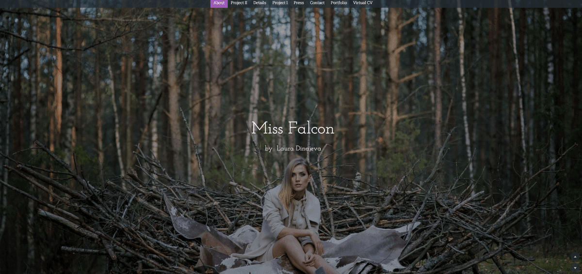 Imagine preluată de la Miss Falcon Imagine preluată de la Miss Falcon