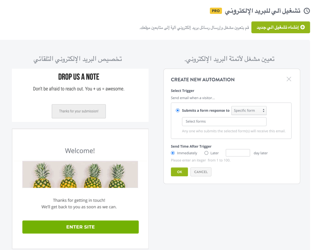 ميزة مراجعة المنتج في Strikingly ميزة مراجعة المنتج في Strikingly