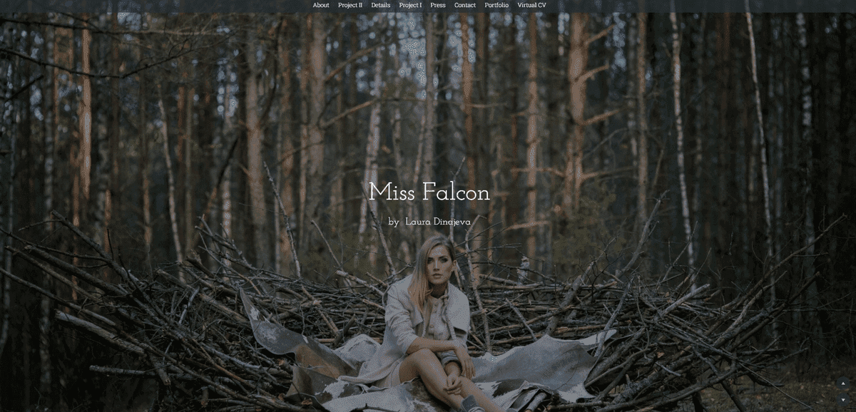 Imagine luată de la Miss Falcon Imagine luată de la Miss Falcon