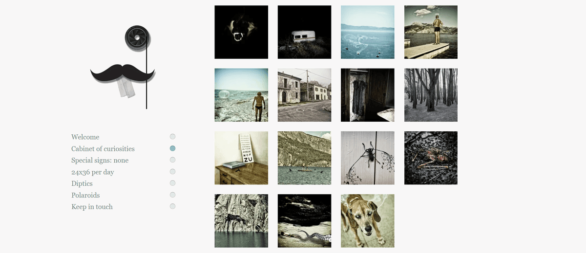 الصورة مأخوذة من Zinzi Colonna Photography الصورة مأخوذة من Zinzi Colonna Photography