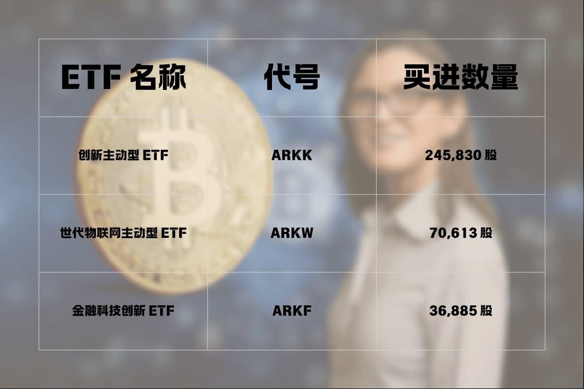 Circle 财报强劲但股价下跌,ARK Invest 逆势加码 3,050 万美元的深度分析与市场趋势解读 Circle 财报强劲但股价下跌,ARK Invest 逆势加码 3,050 万美元的深度分析与市场趋势解读