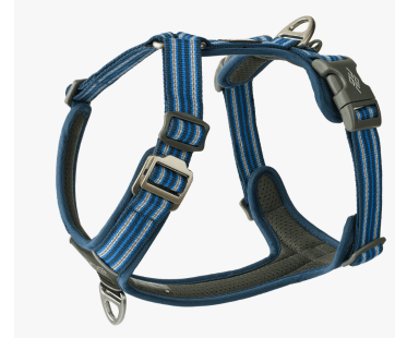 CD Dog Training Wymondham Harness CD Dog Training Wymondham Harness